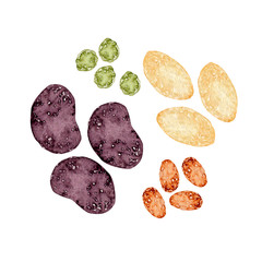 甘納豆 和菓子　水彩 イラスト