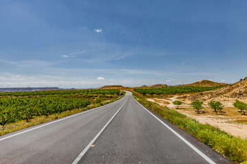 Straße in der Wüste Bardenas Reales Navarra