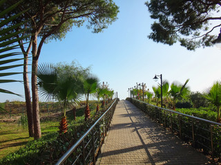 Grey tile walkway with railings or pathway in a park at summer sunny day