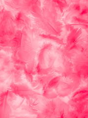 Beautiful abstract white and pink feathers on white background and soft white feather texture on pink  pattern and pink background, feather background, pink banners