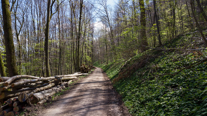 Fr&uuml;hling an der Schw&auml;bischen Alb