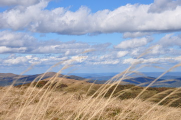Bieszczady  mountains © Barbara