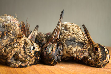 hunting trophies is on the kitchen table