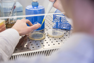 fabric laboratory