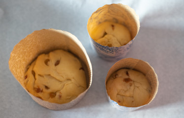 Finished dough in a mold for the preparation of the Easter cake. Raw dough with close-up raisins, cooking for the holidays