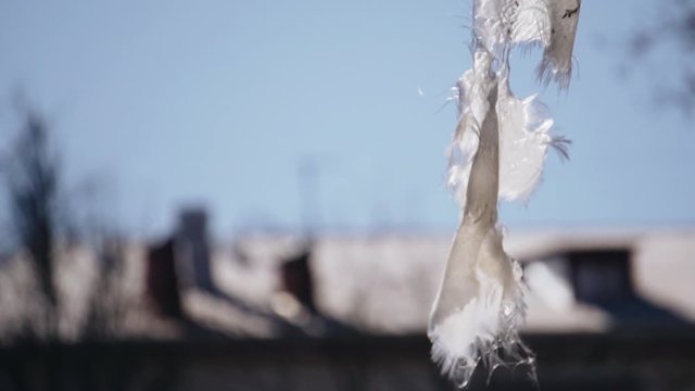A piece of polyethylene hangs from a pipe in the middle of the city. Close up