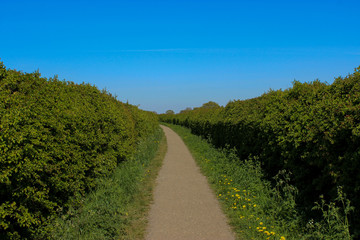 Flattened walkway in the countryside 