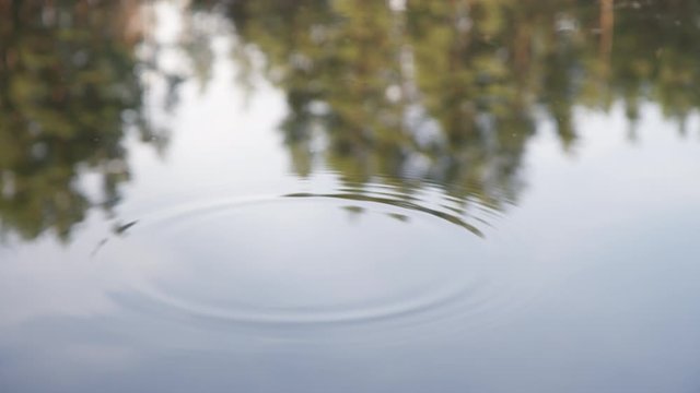 Gentle female hand touch serene and calm water surface of quiet lake. Peaceful and mindful connection with nature. Finger touch clean water in forest lake. Pure yoga or meditation inspiration
