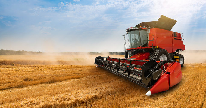 Combine harvester on the wheat field - Powered by Adobe