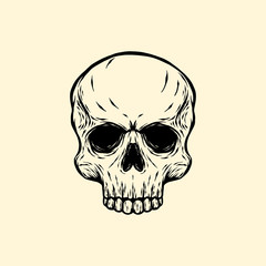 skull hand drawn vector illustration