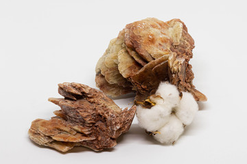 Desert rose. Natural rose-like crystals and cotton flower isolated on white background