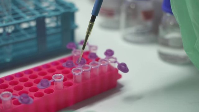 Close up scientist using pipette transfer sample to Micro Centrifuge Tube for PCR test in Biosafety cabinet.	
