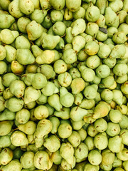 lots of ripe fruit green pears for eating like a background