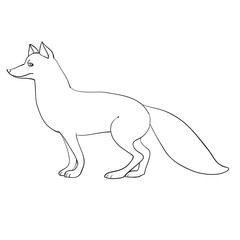 fox in natural style stands on four legs sideways, outline drawing, coloring, isolated object on a white background, vector illustration,