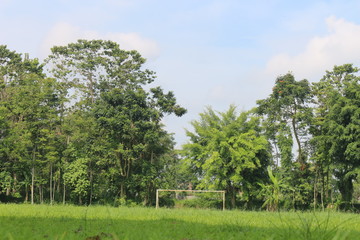 The phanorama of nature in our country