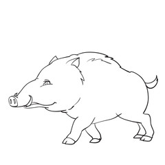 wild boar, wild animal, outline drawing, coloring, isolated object on a white background, vector illustration,