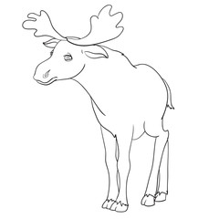 elk with big horns, wild animal, coloring book, outline drawing, vector illustration,