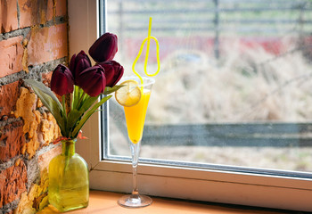 cocktail in a glass with natural light on the window