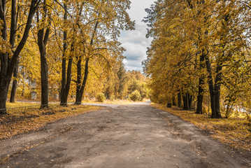 Fototapeta na wymiar Autumn landscape with alley in autumn Park