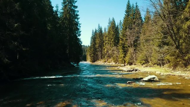 Mountain pine river flight over drone river soars above mountain water