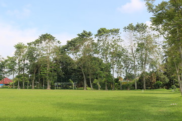 Obraz premium The phanorama of nature in our country