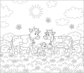 Obraz premium Spotted cow, a bull and a small calf walking on lush grass among flowers and flittering butterflies on a summer field on a sunny warm day, black and white vector cartoon illustration