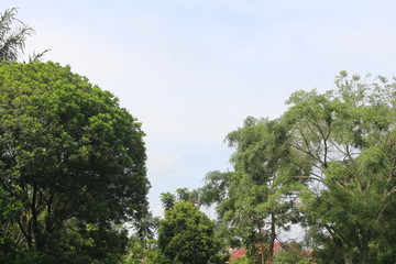 The phanorama of nature in our country