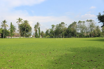 The phanorama of nature in our country