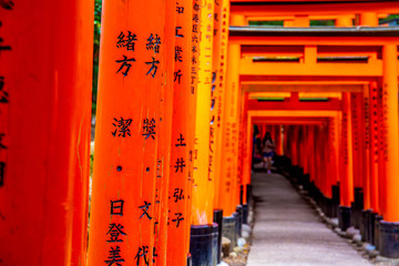 Red wooden torii Gate at Fushimi Inari Shrine in Kyoto, Japan. One of the popular site in Kyoto.