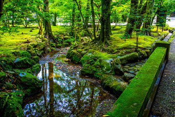 Japanese garden with flourish plantation. Relaxing emotion