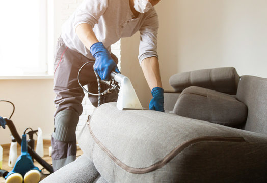 Man Cleaning Sofa Chemical Cleaning With Professionally Extraction Method. Upholstered Furniture. Early Spring Cleaning Or Regular Clean Up.