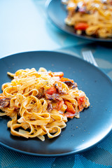 Italian Pasta with Sun Dried Tomatoes and Cherry Tomatoes on the Dark Plate