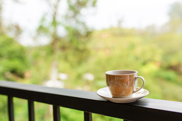 Breakfast with tea on sri lanka tea island.