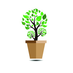 Vector illustration flower, plant growing in a pot. Potted plant icon. Little plant seedling. Seedling icon