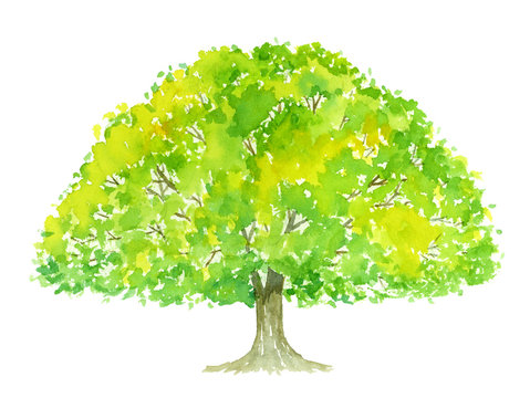 水彩イラスト Images Browse 5 304 Stock Photos Vectors And Video Adobe Stock 水彩イラスト Images Browse 5 304 Stock Photos Vectors And Video Adobe Stock