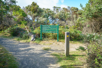 hiking the great ocean walk on wreck beach, victoria, australia