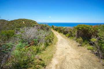 hiking the great ocean walk to milanesia beach, coast of victoria, australia