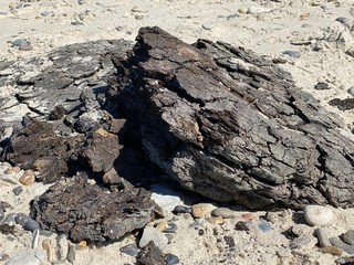 old wood
