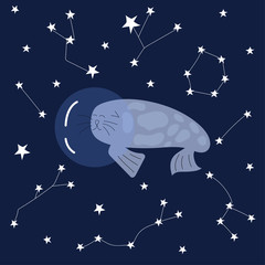 Cute seal in space - vector illustration. Vector print ideal for baby texil and posters.