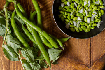 Fresh fava bean. The broad bean is a species of flowering plant in the Fabaceae family of peas and beans.