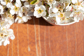 Spring flowering in a mug on a wooden background. Beautiful floral background. Blossoming.