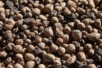Expanded clay aggregate