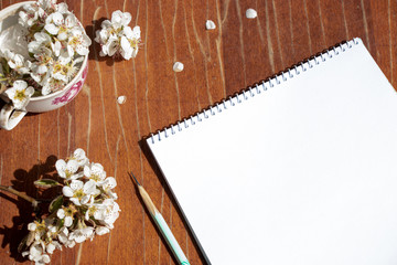 Spring flowering in a mug on a wooden background. Beautiful floral background. Notebook and pencil for drawing.