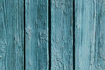 Wooden old texture of turquoise color painted. Wooden boards, great background.