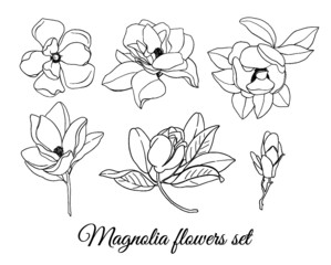 Set of outline magnolias flowers, buds and leaves