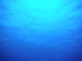 きれいな海 水面 スキューバダイビング