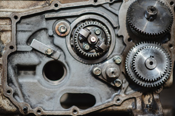 engine gears wheels, closeup view