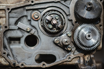 engine gears wheels, closeup view