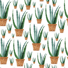 Aloe vera in clay pot seamless pattern on white background. Watercolor hand drawing illustration of aloe vera. Perfect for medical design, home decor, print, wallpaper; banner; textile; print.