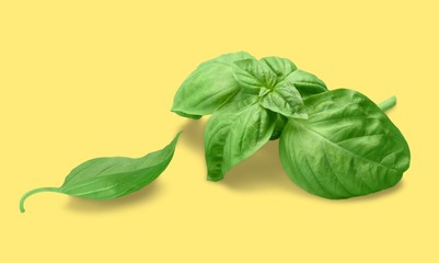 Basil.